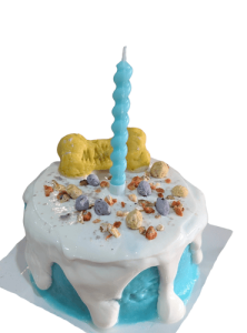Dog Cakes - Yoghurt Dripping Cake