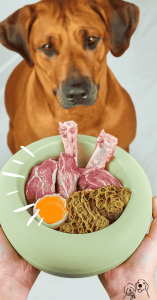 best raw dog food