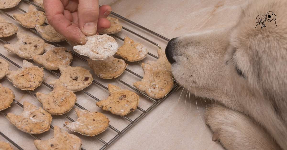 dog bakeries near me