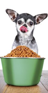 dog food for sensitive stomach