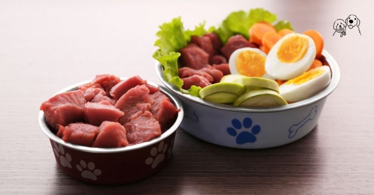 organic dog food
