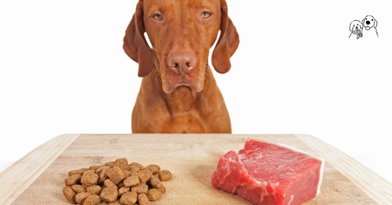 pets food shop