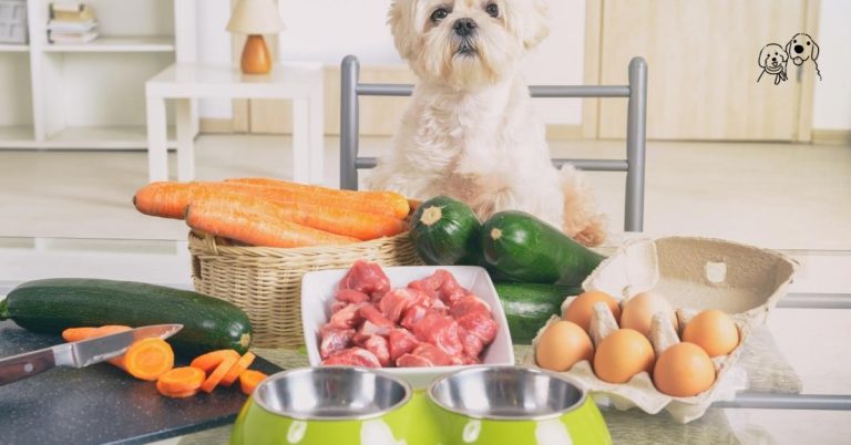 puppy food for sensitive stomach