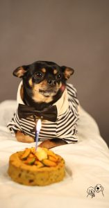 birthday treats dogs