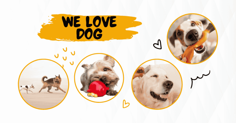 dog toys near me