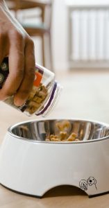 good treats for puppies good treats for puppies