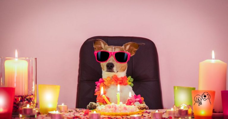 personalized dog treats