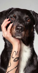 playtime ideas for dogs