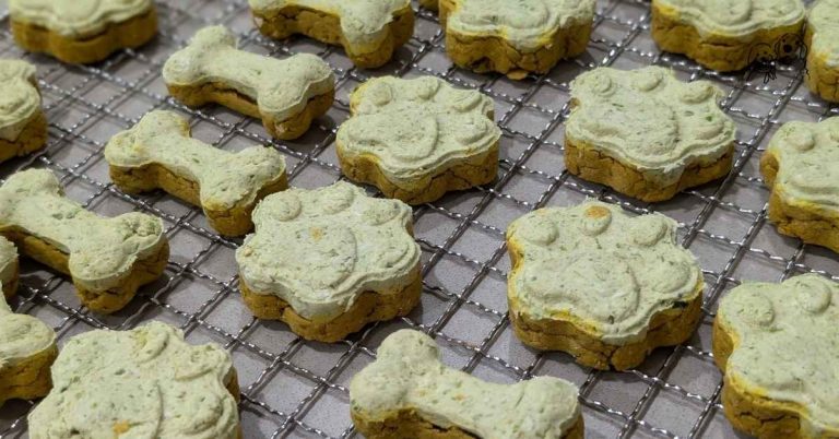 puppy birthday treats