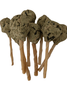 Canine treats - minty lollipop