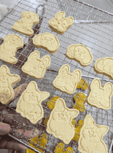 dog biscuits in bulk - Signature Chicken Biscuits