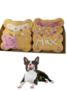 online dog biscuits - Personalised Biscuits